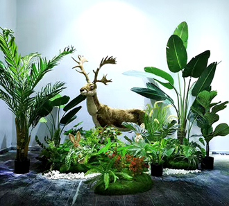 �����̻�ֲ������